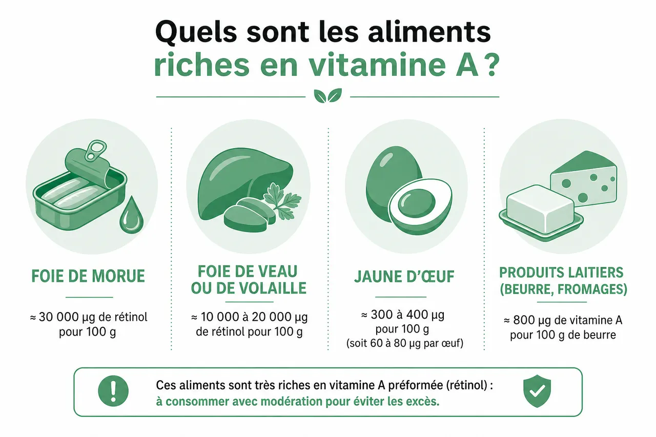 Vitamine A et C dans les aliments: comment votre assiette protège votre vue et votre immunité , Quels sont les aliments riches en vitamine A?