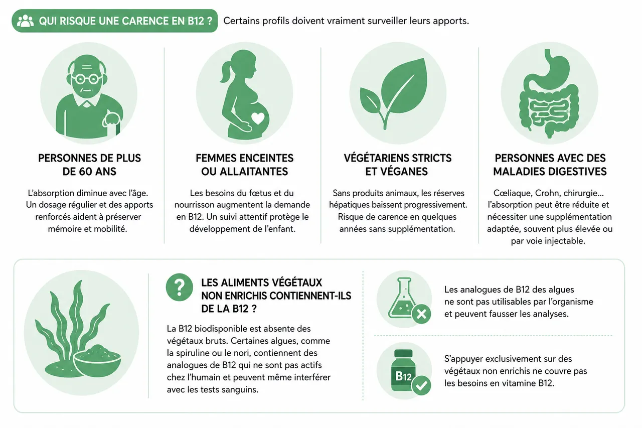 Quels aliments apportent vraiment de la vitamine B12? , FAQ et idées reçues sur la vitamine B12